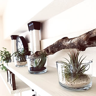 Ayanasのおすすめ家具 インテリアの商品一覧 全22件 Roomclip ルームクリップ