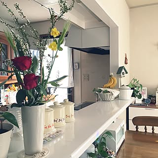 白 対面キッチンカウンターのインテリア実例 Roomclip ルームクリップ