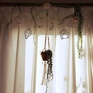部屋全体/休日の朝は、まったりしています♡/ハンギングの多肉ちゃん♡/ニトリの遮光カーテン/植物のある暮らし☆...などのインテリア実例 - 2017-05-24 07:18:02