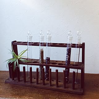 植物 試験管のインテリア実例 Roomclip ルームクリップ