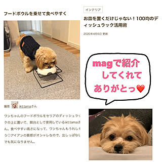 セリア ディッシュラックのインテリア実例 Roomclip ルームクリップ