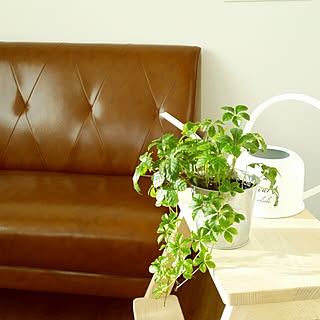 あさイチのインテリア実例 Roomclip ルームクリップ あさイチのインテリア実例 Roomclip ルームクリップ