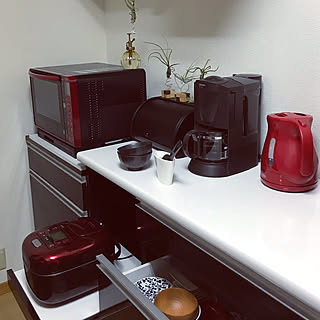 キッチン/エアプランツ/炊飯器置き場/ニトリ/炊飯器のインテリア実例 - 2018-05-06 21:04:43