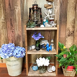 玄関 入り口 クチナシの花のインテリア実例 Roomclip ルームクリップ 玄関 入り口 クチナシの花のインテリア実例 Roomclip ルームクリップ