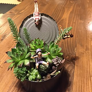観葉植物 ふちこさんのインテリア実例 Roomclip ルームクリップ