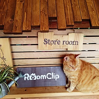びっくりドンキー的な のインテリア実例 Roomclip ルームクリップ びっくりドンキー的な のインテリア実例 Roomclip ルームクリップ