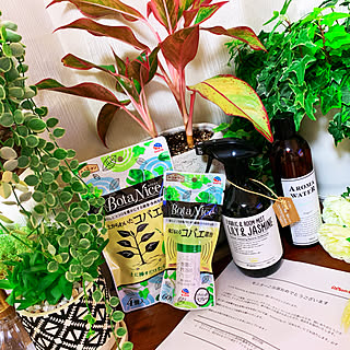 出窓のグリーン/BotaNice/多肉植物/観葉植物/お気に入り...などのインテリア実例 - 2019-07-04 21:13:41