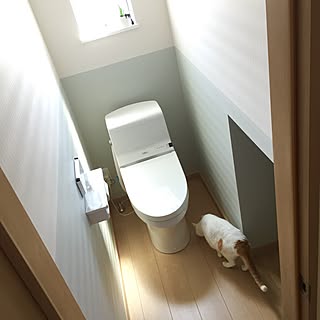 タンクレストイレ リリカラ壁紙のインテリア実例 Roomclip ルームクリップ