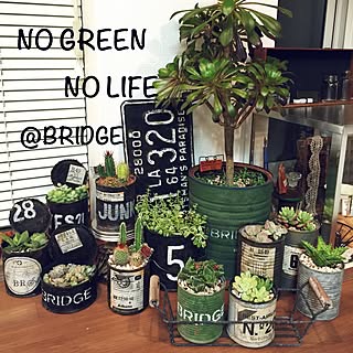 部屋全体/木工ハンドメイド/DIY/多肉植物/succulent plants...などのインテリア実例 - 2015-02-01 19:31:42
