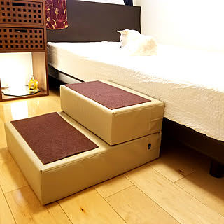 ベッド周り ドッグステップのインテリア実例 Roomclip ルームクリップ ベッド周り ドッグステップのインテリア実例 Roomclip ルームクリップ