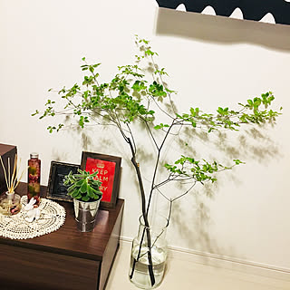 ドウダンツツジ リューズガラスのインテリア実例 Roomclip ルームクリップ