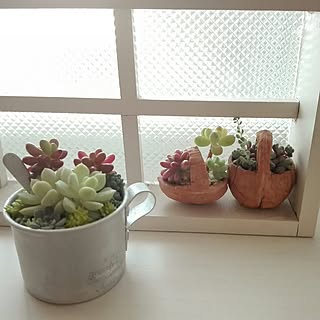 机/大人可愛い/朝の1枚/雑貨/多肉植物...などのインテリア実例 - 2016-12-21 07:41:06