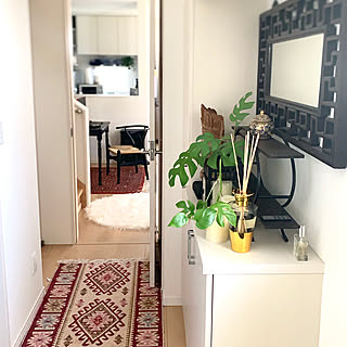 モンステラ水挿しのインテリア実例 Roomclip ルームクリップ