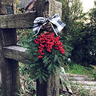 ピラカンサの実のインテリア実例 Roomclip ルームクリップ ピラカンサの実のインテリア実例 Roomclip ルームクリップ