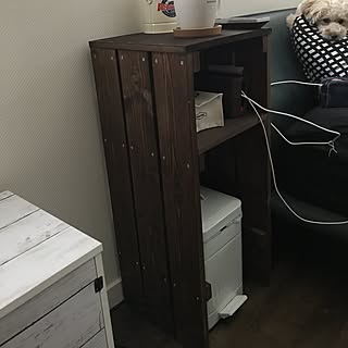 アイズインテリアショップ ゴミ箱 ダストボックスのおすすめ家具 インテリア 全6件 Roomclip ルームクリップ