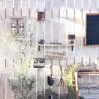 玄関/入り口/ベランダガーデン/板壁DIY/いなざうるす屋さん/ユーカリのインテリア実例 - 2017-05-02 18:55:20