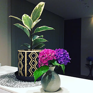 ゴムの木 庭の花を飾るのインテリア実例 Roomclip ルームクリップ