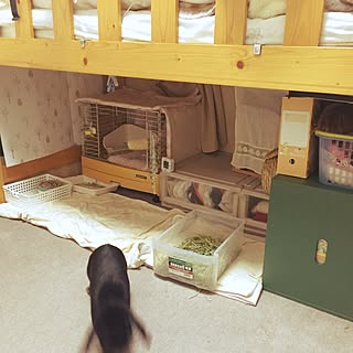 ロフトベッド ベッド下のインテリア実例 Roomclip ルームクリップ