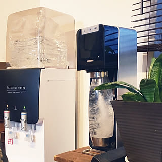 女性の、Other、家族住まいの「棚」についてのインテリア実例