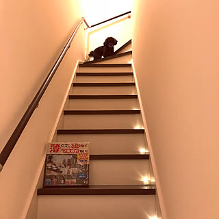 部屋全体/タイマー付きLEDキャンドル/モニターではありません(笑)/おくだけ吸着/サンコー...などのインテリア実例 - 2018-01-14 21:05:44