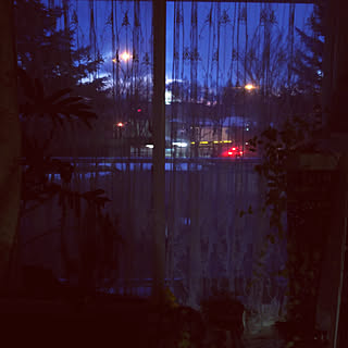 部屋全体/こんばんは✩.*˚/いいね!ありがとうございます♪/フォローすごく嬉しいです♡/窓辺の風景のインテリア実例 - 2019-03-17 18:05:38
