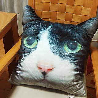 しまむら 猫クッションの商品を使ったおしゃれなインテリア実例 Roomclip ルームクリップ