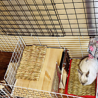うさぎ小屋 手作りケージのインテリア実例 Roomclip ルームクリップ