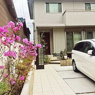 ガーデニング 生垣のおしゃれなインテリア 部屋 家具の実例 Roomclip ルームクリップ