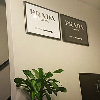 Prada プラダ 壁紙のまとめページ Roomclip ルームクリップ