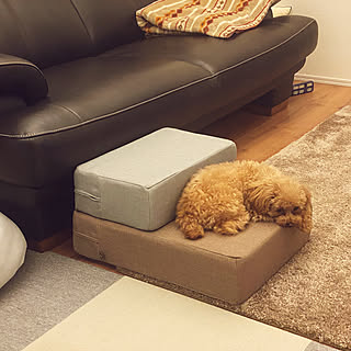 リビング ペットステップのインテリア実例 Roomclip ルームクリップ リビング ペットステップのインテリア実例 Roomclip ルームクリップ