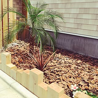 玄関横の花壇のインテリア実例 Roomclip ルームクリップ