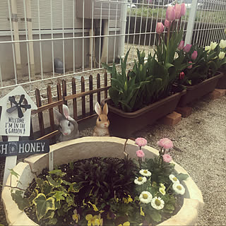 ダイソー 花壇柵のまとめページ Roomclip ルームクリップ