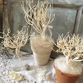 女性の、Other、の「バス/トイレ」についてのインテリア実例