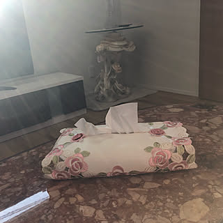 ティッシュカバー/ティッシュケース/リビング/アンティーク/マイホーム計画...などのインテリア実例 - 2020-02-20 09:31:26