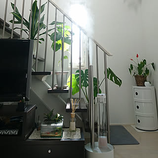 Roomclip ルームクリップ Roomclip ルームクリップ