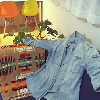 リビング/デニムシャツ/イームズ/モンステラ/IKEA...などのインテリア実例 - 2016-09-19 22:29:52