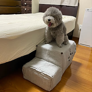 牛乳パック再利用 牛乳パックのドッグステップのインテリア実例 Roomclip ルームクリップ