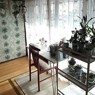 和室にカーテンのインテリア実例 Roomclip ルームクリップ