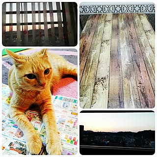 100均DIY/いいね&フォローありがとうございます☆/ベッド周り/六つ子同好会のインテリア実例 - 2017-03-15 20:09:44
