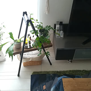 無印良品 リモコン置き場のインテリア実例 Roomclip ルームクリップ