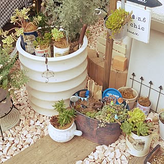 多肉植物 フェアリーガーデンのインテリア実例 Roomclip ルームクリップ