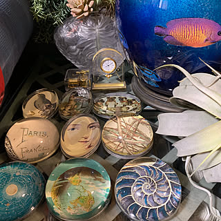 コスガ/Mikimotoの時計/Lalique/ジョンデリアン/いなざうるす屋さん...などのインテリア実例 - 2019-04-18 07:26:46