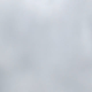 ひらつか/七夕さま/七夕まつり2019/七夕まつり2019/たなばたさま...などのインテリア実例 - 2019-07-07 13:15:20