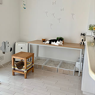 無印良品 猫草のインテリア実例 Roomclip ルームクリップ