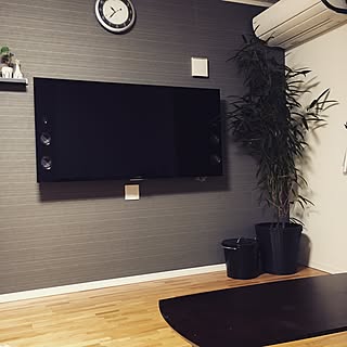リビング/グリーンのある暮らし/観葉植物/壁掛けTV/整理整頓...などのインテリア実例 - 2016-09-16 09:48:05