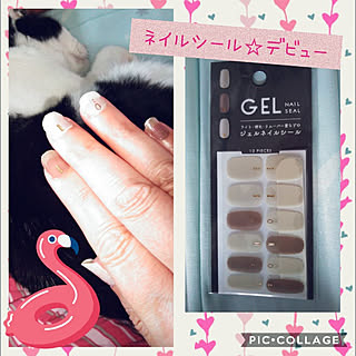ダイソー ネイルシールのインテリア実例 Roomclip ルームクリップ ダイソー ネイルシールのインテリア実例 Roomclip ルームクリップ