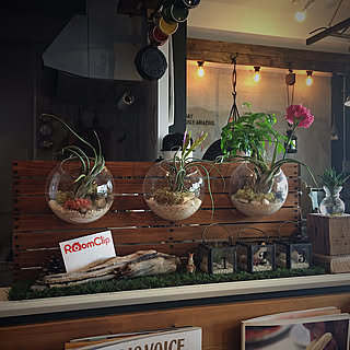 ヘテロパナックスのインテリア実例 Roomclip ルームクリップ