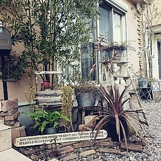 ジャンクガーデンのインテリア実例 Roomclip ルームクリップ ジャンクガーデンのインテリア実例 Roomclip ルームクリップ