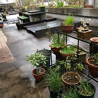 寒々しい のインテリア実例 Roomclip ルームクリップ