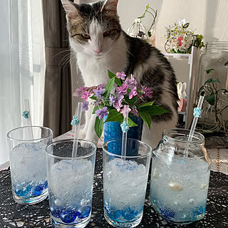 ラメパウダーのインテリア実例 Roomclip ルームクリップ